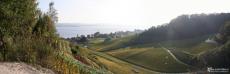 2007-10-06 - Panoramic view of Murtensee 1